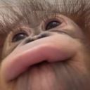 StrekozaVladimirovna