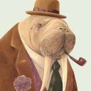 Walrus_Stas