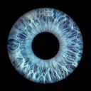 fan_T2rbina_I_Ebison