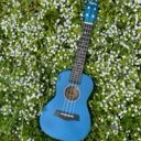 bmxkb5n7ckprivaterel