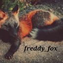 freddy_fox
