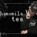 Chamomiletea457