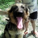 1324354657687980vero