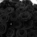 nastya_______FanFiki