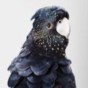 someone7in7the7crowd