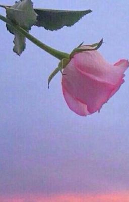 "Воздушные змеи" Ромен Гари