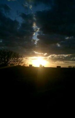 Мирный воин В мирное время Мишель!