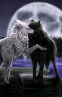 Принцесса оборотней