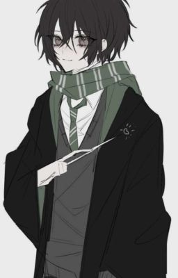 Бсд В Мире Гарри Поттера