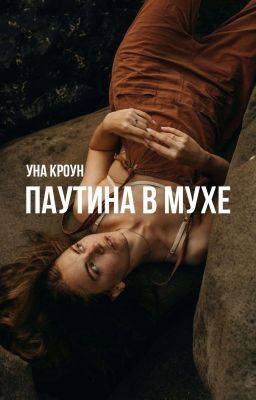 Паутина в мухе