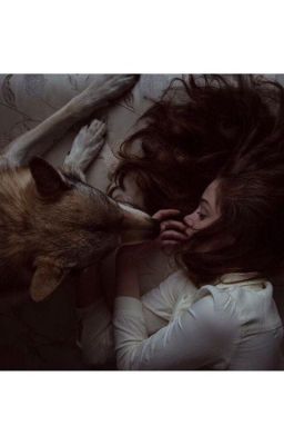 Моя милая Мия. Верность волка. (Клуб романтики, Рождённая луной)