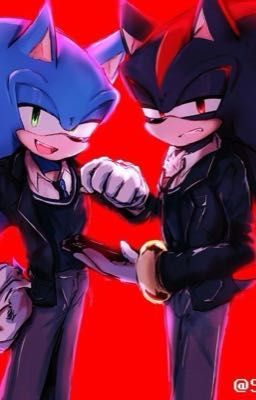 Напарники под прикрытием 