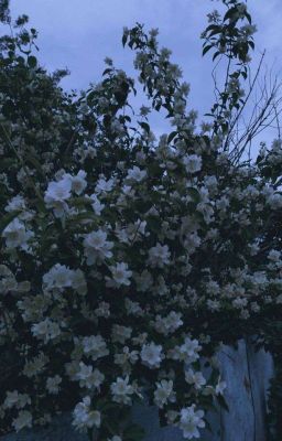 режу по вертикали