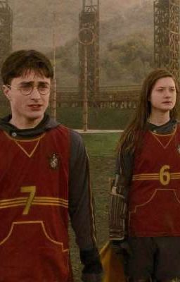 Родственные души, Гарри и Джинни