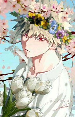 Кацуки Бакуго я люблю тебя