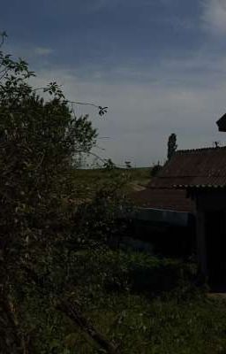 лето в деревне