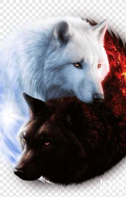 Only yours(Только Твоя)