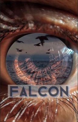 Falcon|сокол