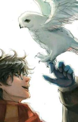 Гарри Поттер и Гермиона Грейнджер: Дети Войны Часть 1.