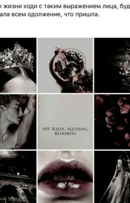 Цитаты и афоризмы