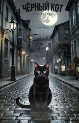 чёрный кот