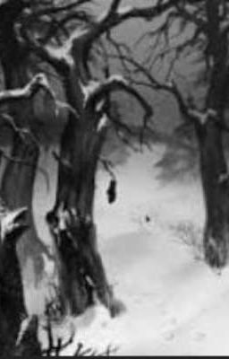 ты поможешь мне раскрыть тайны этого леса