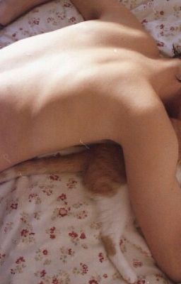 Роберт Рождественский- Ты ждёшь его...