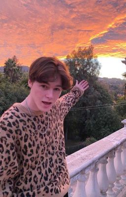 Ник Остин, я тебя ненавижу!