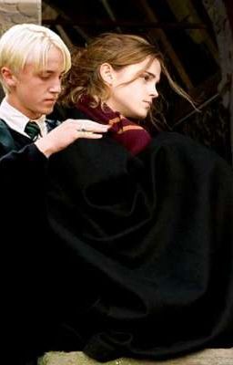 Начало отношений