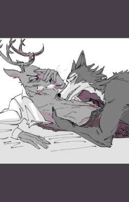 Can't herbivorous and predator be together? (Legosi × Louis)
