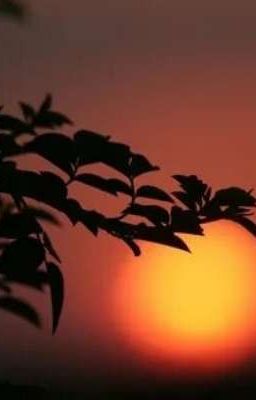 Последний закат