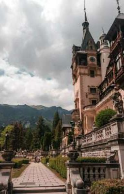 Охота началась