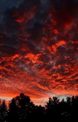 Через тернии к звёздам.