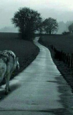 👻👽запутанная история💀👿