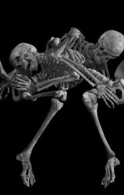 Сексуальная жизнь скелета