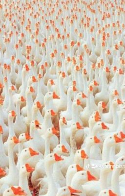 Синдром "Уха Трубочкой" и другие короткие опусы