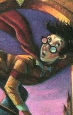 Гарри Поттер, шутки за 300