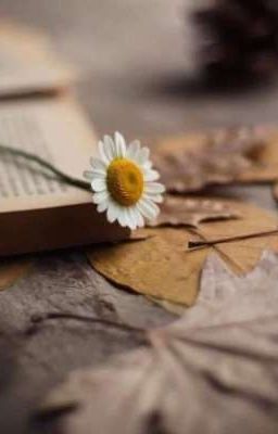 ~ Забытый на страницах книги цветок ~
