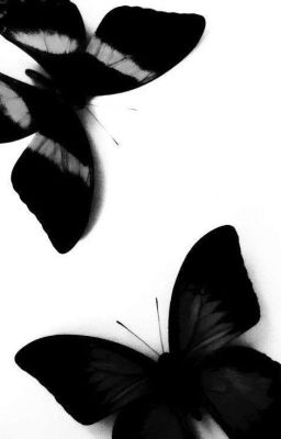 неужели это он..