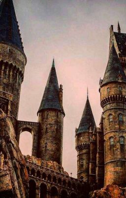 То, что их объединяет