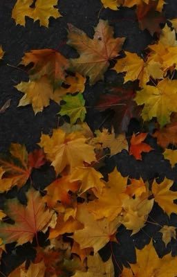 Листья души