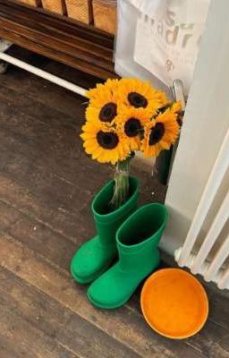 Наивные истории