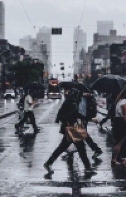 Долгожданный дожь