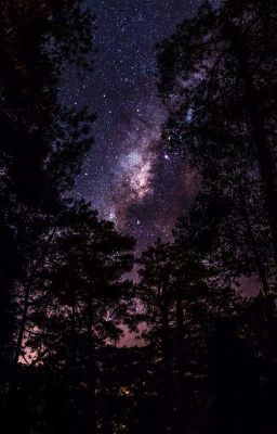 молодая Луна