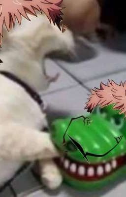 хз че писать 🏮