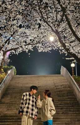 °•родственные души•°