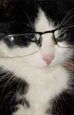 ⚡️участница в еблан скваде⚡️