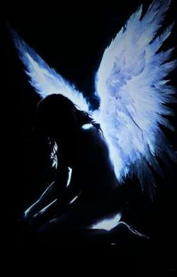 Где встречаются свет и тьма