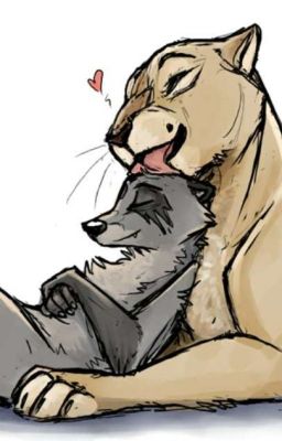 This Is Not The End...