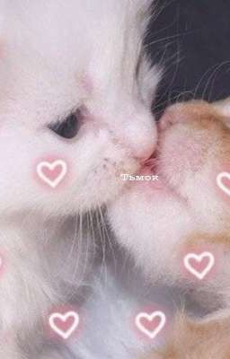 Черепашки ниндзя. 